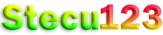STECU123